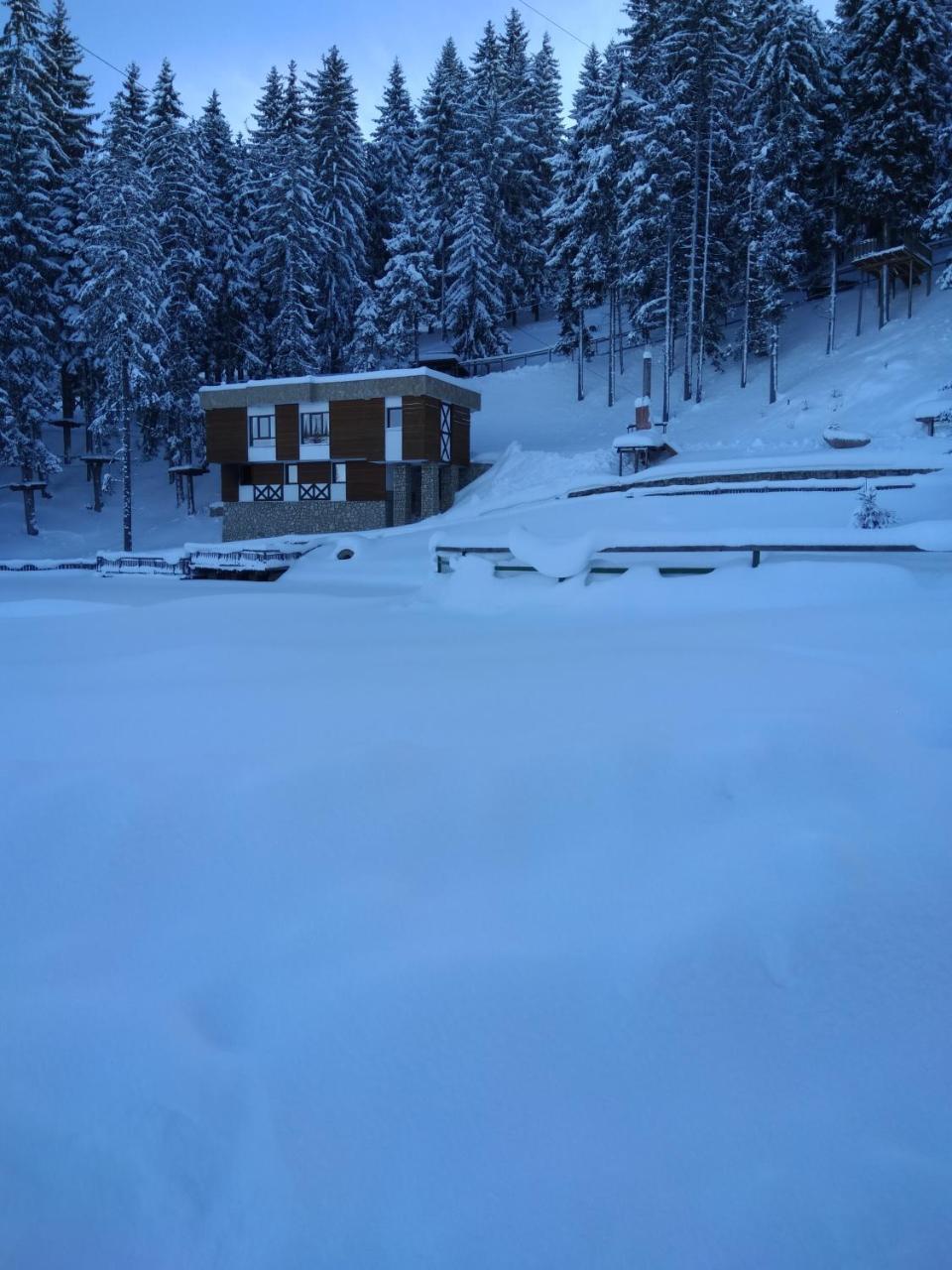 Ferienwohnung Apartman Asja Vlašić Exterior foto